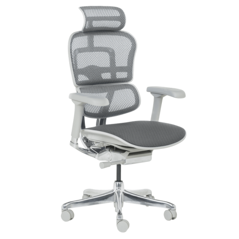 Ергономичен стол ERGOHUMAN ELITE 2 - сива рамка - сив