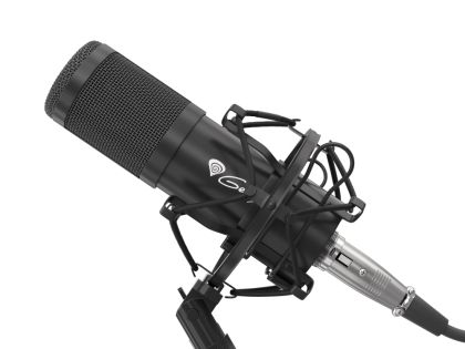 Микрофон Genesis Microphone Radium 300 Studio XLR ARM Popfilter