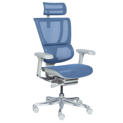 Ергономичен стол ERGOHUMAN IOO ELITE 2 - сива рамка - син