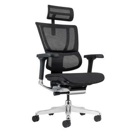 Ергономичен стол ERGOHUMAN ELITE 2 - черна рамка - черен