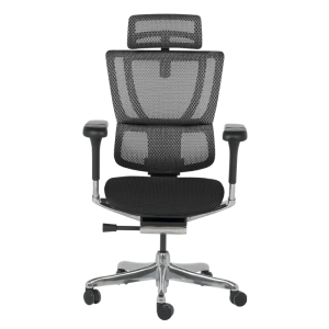 Ергономичен стол ERGOHUMAN IOO ELITE 2 - черна рамка - черен