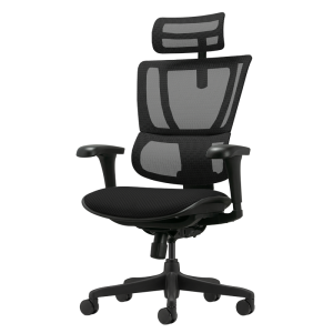 Ергономичен стол ERGOHUMAN IOO BUDGET 2 - черна рамка - черен