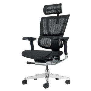 Ергономичен стол ERGOHUMAN ELITE 2 - черна рамка - черен