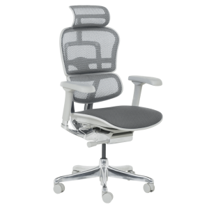 Ергономичен стол ERGOHUMAN ELITE 2 - сива рамка - сив