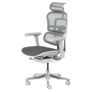 Ергономичен стол ERGOHUMAN ELITE 2 - сива рамка - сив