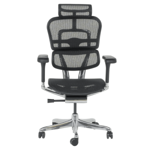 Ергономичен стол ERGOHUMAN ELITE 2 - черна рамка - черен