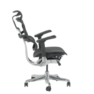 Ергономичен стол ERGOHUMAN ELITE 2 - черна рамка - черен