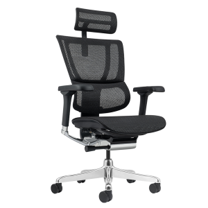 Ергономичен стол ERGOHUMAN ELITE 2 - черна рамка - черен