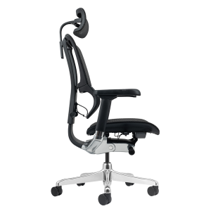 Ергономичен стол ERGOHUMAN ELITE 2 - черна рамка - черен