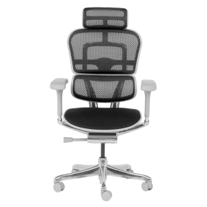 Ергономичен стол ERGOHUMAN ELITE 2 - сива рамка - черен