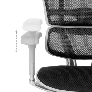 Ергономичен стол ERGOHUMAN ELITE 2 - сива рамка - черен