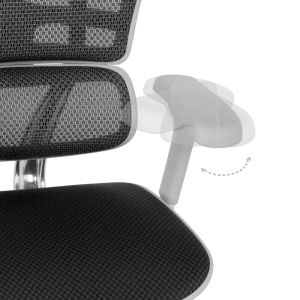 Ергономичен стол ERGOHUMAN ELITE 2 - сива рамка - черен