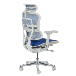 Ергономичен стол ERGOHUMAN ELITE 2 - сива рамка - син