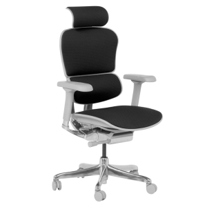 Ергономичен стол ERGOHUMAN ELITE 2 - сива рамка - черен