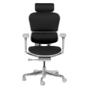 Ергономичен стол ERGOHUMAN ELITE 2 - сива рамка - черен