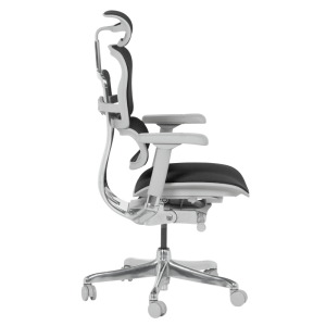 Ергономичен стол ERGOHUMAN ELITE 2 - сива рамка - черен