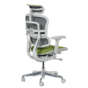 Ергономичен стол ERGOHUMAN ELITE 2 - сива рамка - зелен