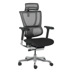 Ергономичен стол ERGOHUMAN IOO ELITE 2 - черна рамка - черен