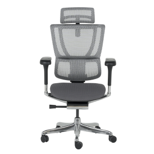 Ергономичен стол ERGOHUMAN IOO ELITE 2 - черна рамка - сив