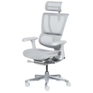 Ергономичен стол ERGOHUMAN IOO ELITE 2 - сива рамка - сив