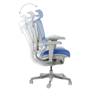 Ергономичен стол ERGOHUMAN IOO ULTRA - сива рамка - син