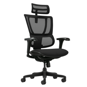 Ергономичен стол ERGOHUMAN IOO BUDGET 2 - черна рамка - черен