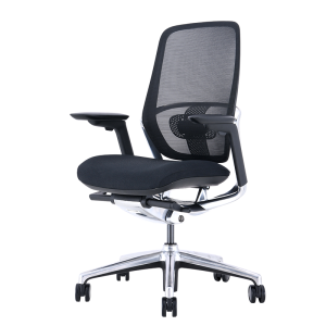 Ергономичен стол KLOTEN - черен