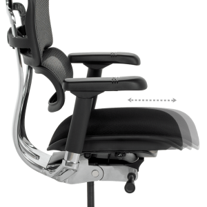 Ергономичен стол ERGOHUMAN ELITE 2 - черна рамка - черен