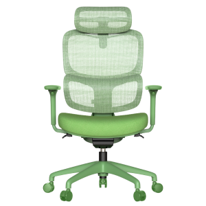 Ергономичен стол JULFA - зелен