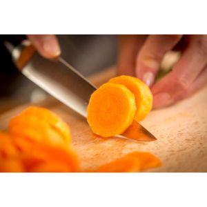 Нож Tefal K2320914, Ingenio Ice Force sst. Utility knife 11cm